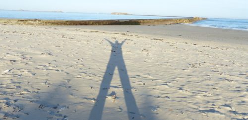 Narcissisme, attention le virus du “MOI JE” est parmi nous !