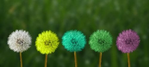Gagnez en efficacité en étant à l’écoute de votre intuition