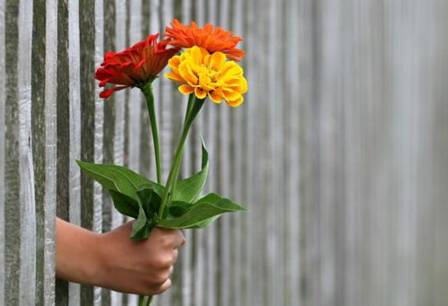 Ne cherchez pas à aider celui qui ne vous l’a pas demandé