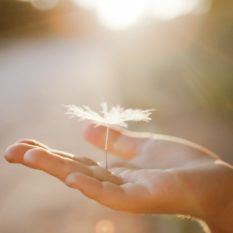 shutterstock_1469443340 shutterstock_1469443340