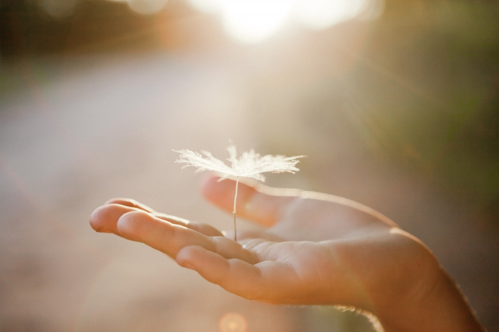 shutterstock_1469443340