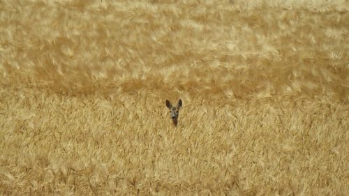 Comment gérer le manque de reconnaissance ?